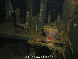 Giannis D wreck. Abu Nuhas, Egypt by Hisham Elshafie 
